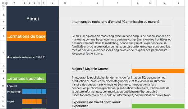 CV de recherche d'emploi Market Commissioner